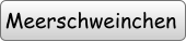 Meerschweinchen